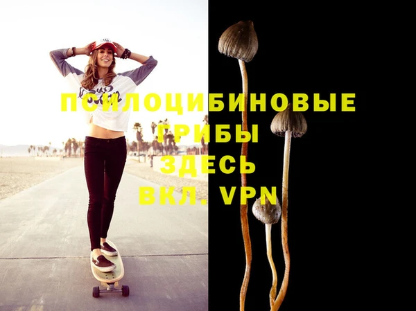 дурь Пересвет
