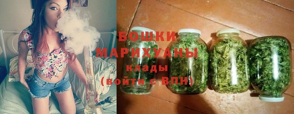 дурь Пересвет