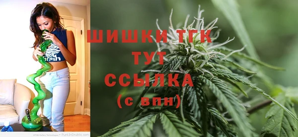 дурь Пересвет