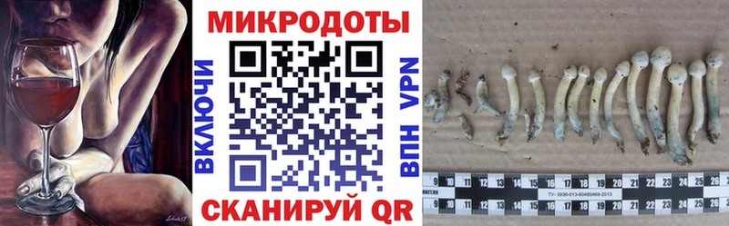 blacksprut сайт  Бабаево  Галлюциногенные грибы GOLDEN TEACHER 